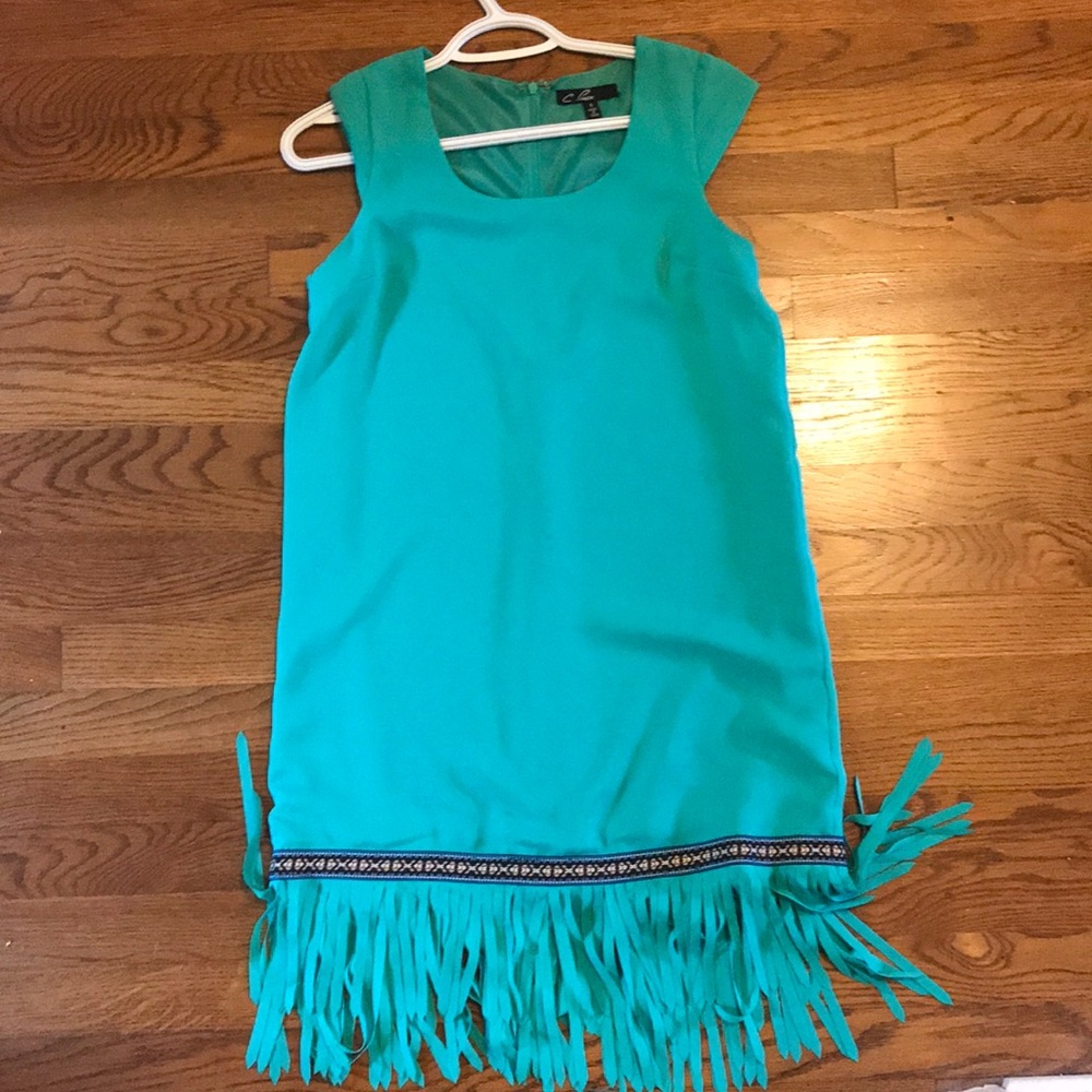 Boutique dress. Fun fringe and embroidered detail!